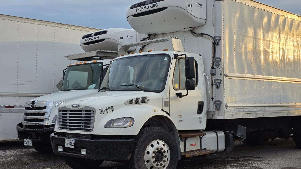 2019 Hino 338  Reefer Diesel