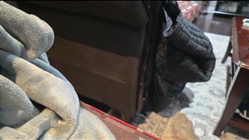 2021 Audi Q5 Quattro Petrol